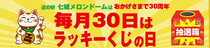 毎月30日はラッキーくじの日